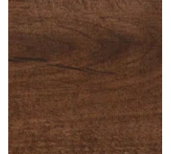 Дуб античный 