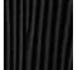 Чорная дерево 