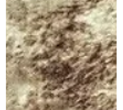 Дикий камень 