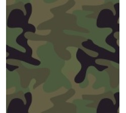 RAL Милитари 