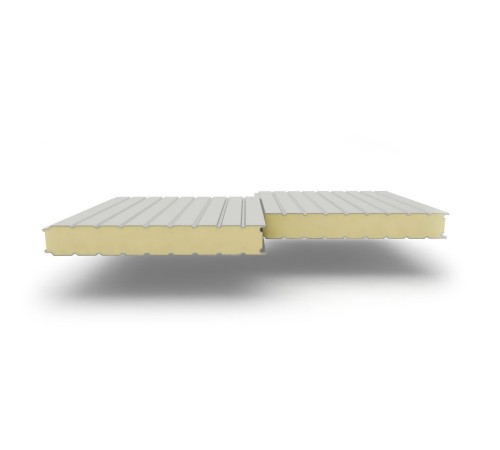 Купить сэндвич-панели стеновые с наполнителем из пенополиуретана толщиной 100 мм, Ширина-1000 мм, Полиэстер RAL7035 