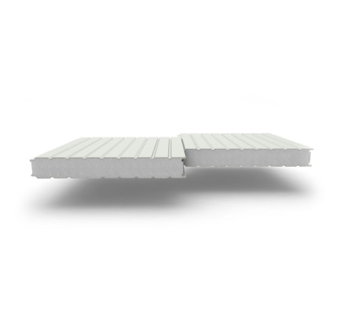 Купить сэндвич-панели стеновые с наполнителем из пенополистирола толщиной 120 мм, Ширина-1190 мм, Полиэстер RAL9002 