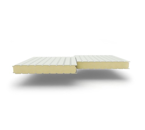 Купить сэндвич-панели стеновые с наполнителем из пенополиуретана толщиной 50 мм, Ширина-1190 мм, Полиэстер RAL9002 