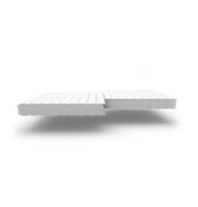 Сэндвич-панели стеновые с наполнителем из пенополистирола толщиной 60 мм, Ширина-1190 мм, Полиэстер RAL9003