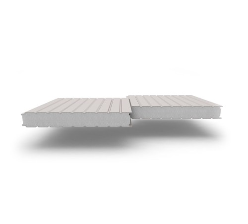 Купить сэндвич-панели стеновые с наполнителем из пенополистирола толщиной 50 мм, Ширина-1160 мм, Полиэстер RAL7047 