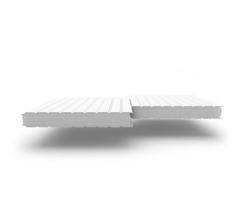 Купить сэндвич-панели стеновые с наполнителем из пенополистирола толщиной 50 мм, Ширина-1190 мм, Полиэстер RAL9003 