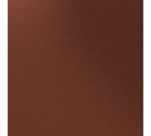 Профнастил С44-1000-0.5 PURETAN RR29