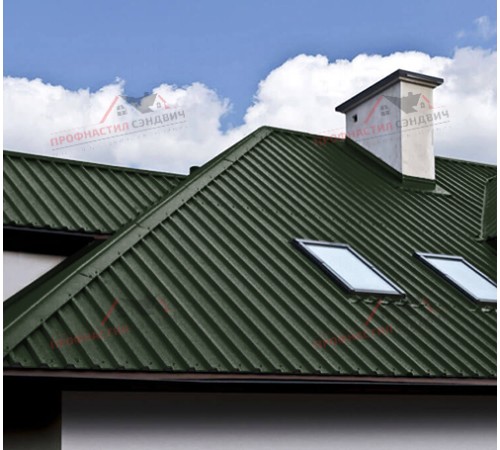 Купить профлист С44-0.45, Ширина-1100, Viking RAL6007 