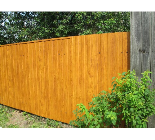 Купить профнастил С8-1150-0.65 ECOSTEEL_T Золотой Дуб 